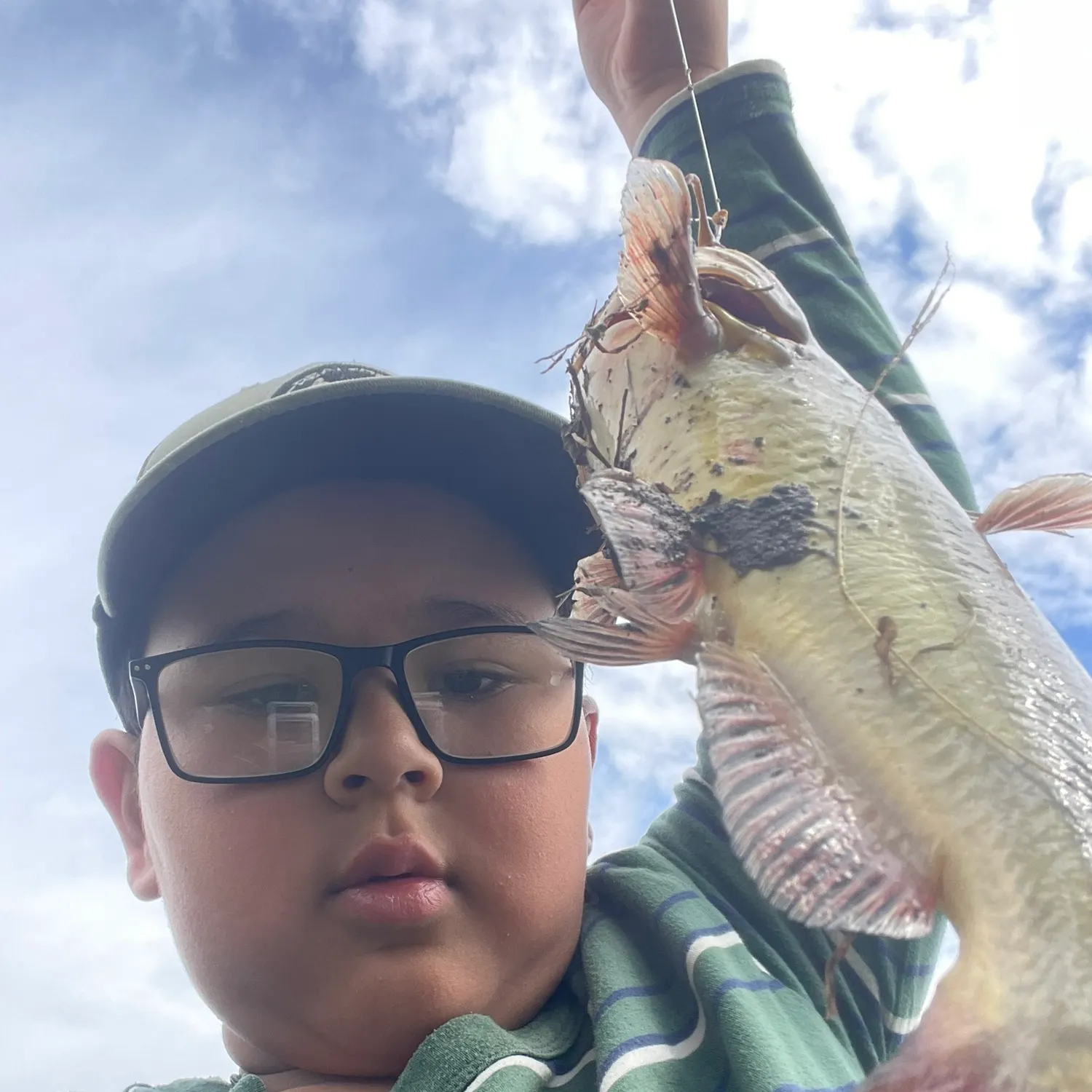 Channel catfish caught on Fishbrain