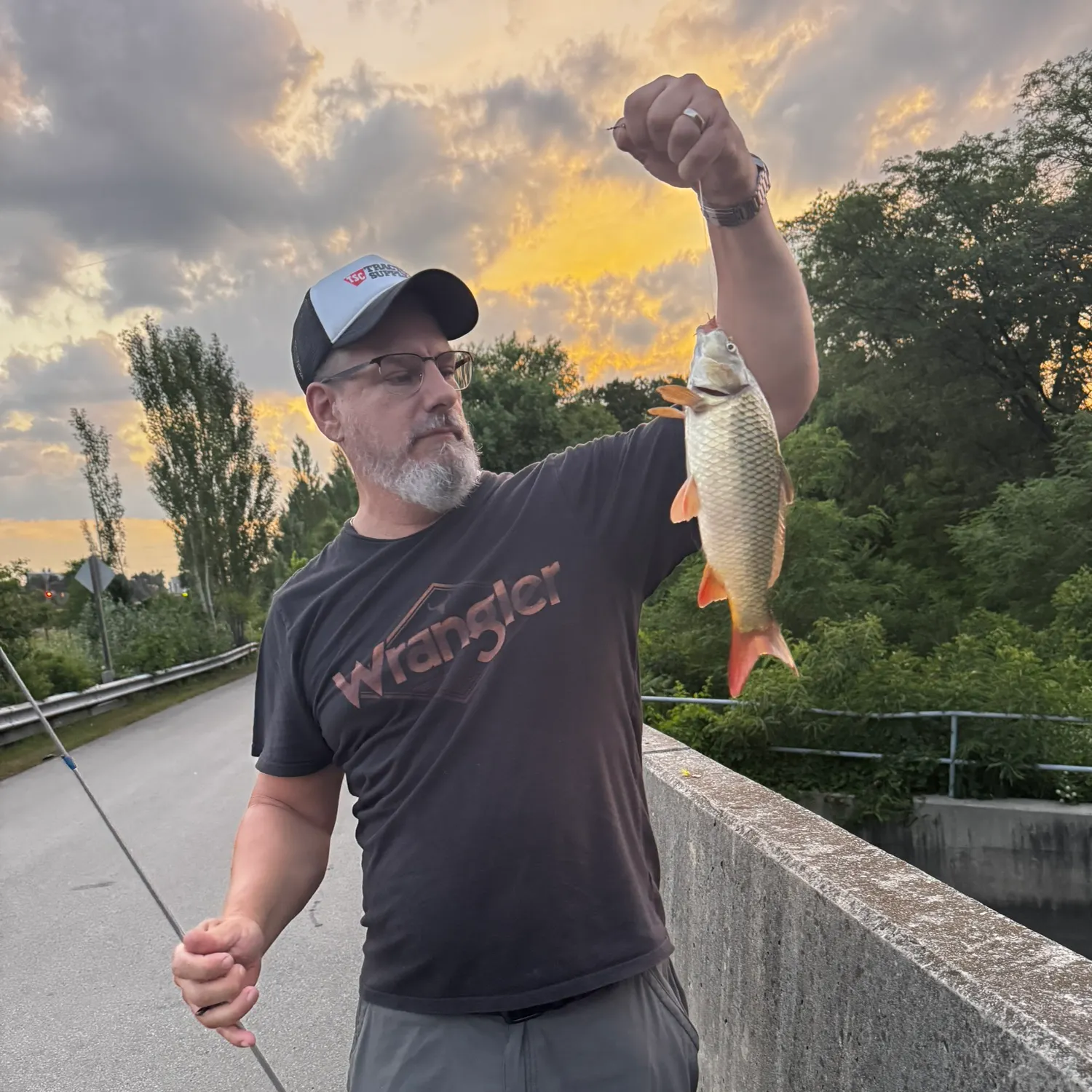 recently logged catches