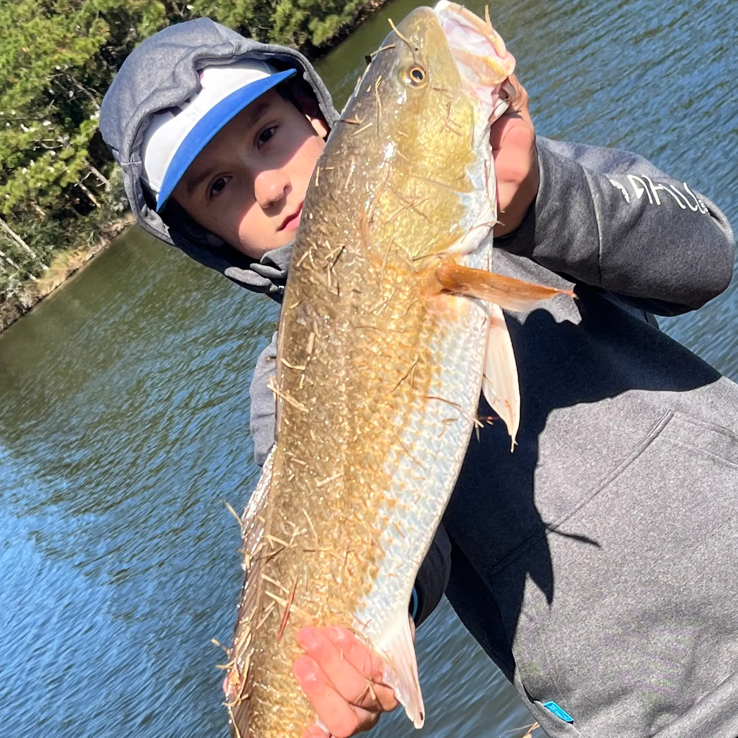 most liked catch image
