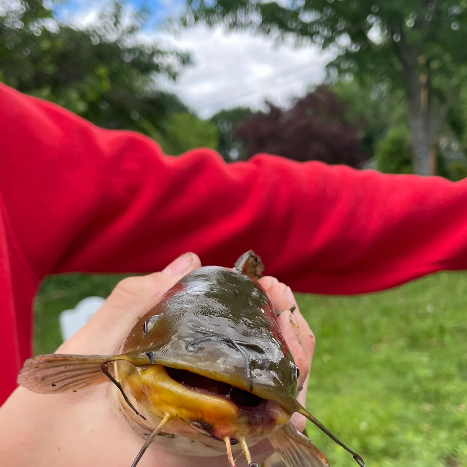 catch