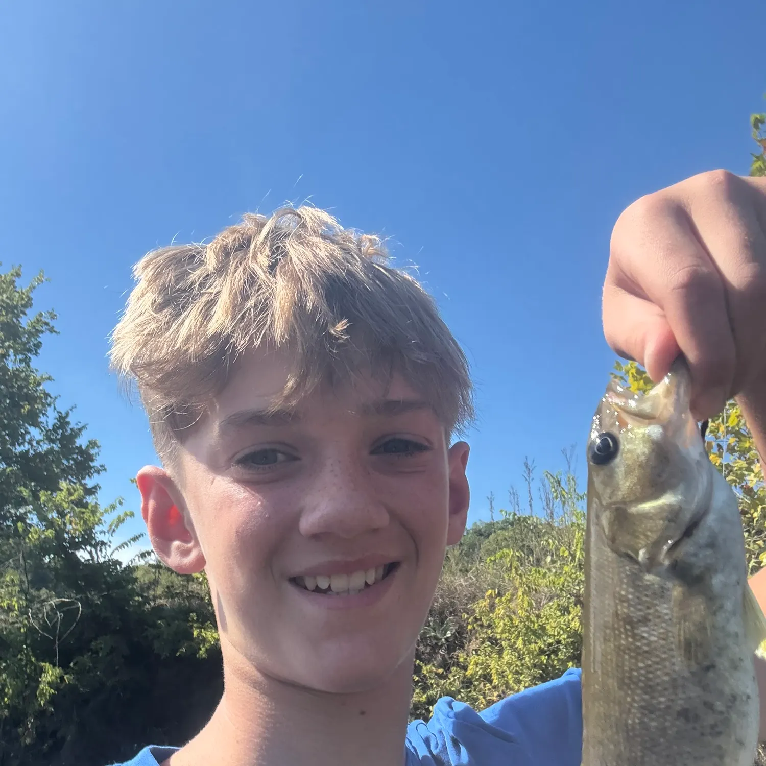 Smallmouth bass caught on Fishbrain
