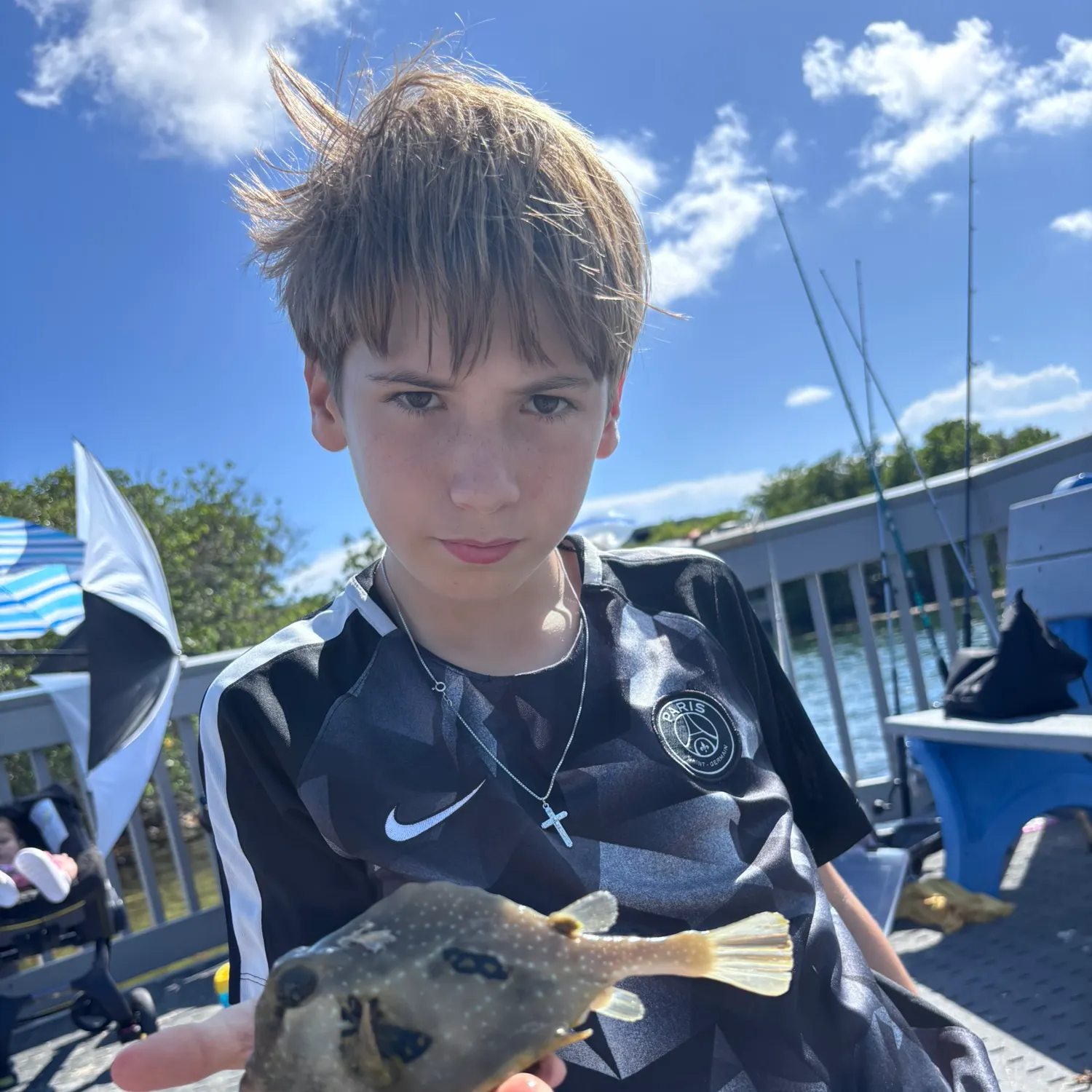 The most recent Smooth trunkfish catches on Fishbrain