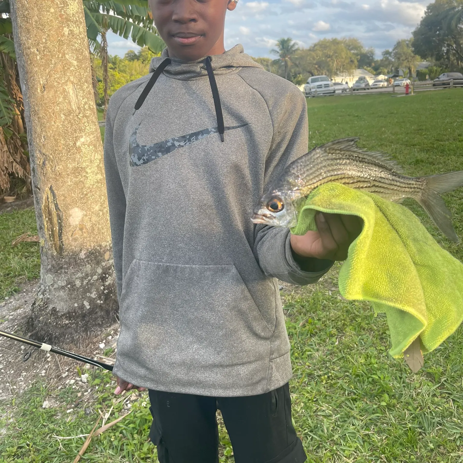 The most recent Striped mojarra catches on Fishbrain