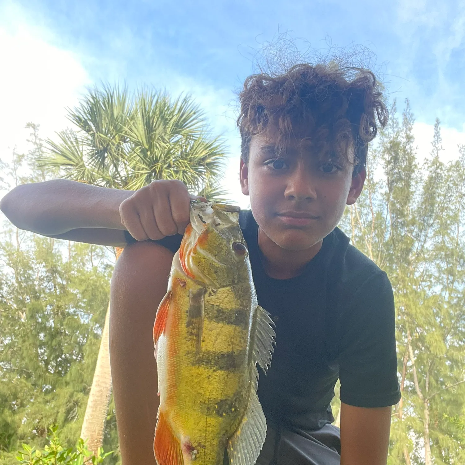 The most recent Butterfly peacock bass catches on Fishbrain