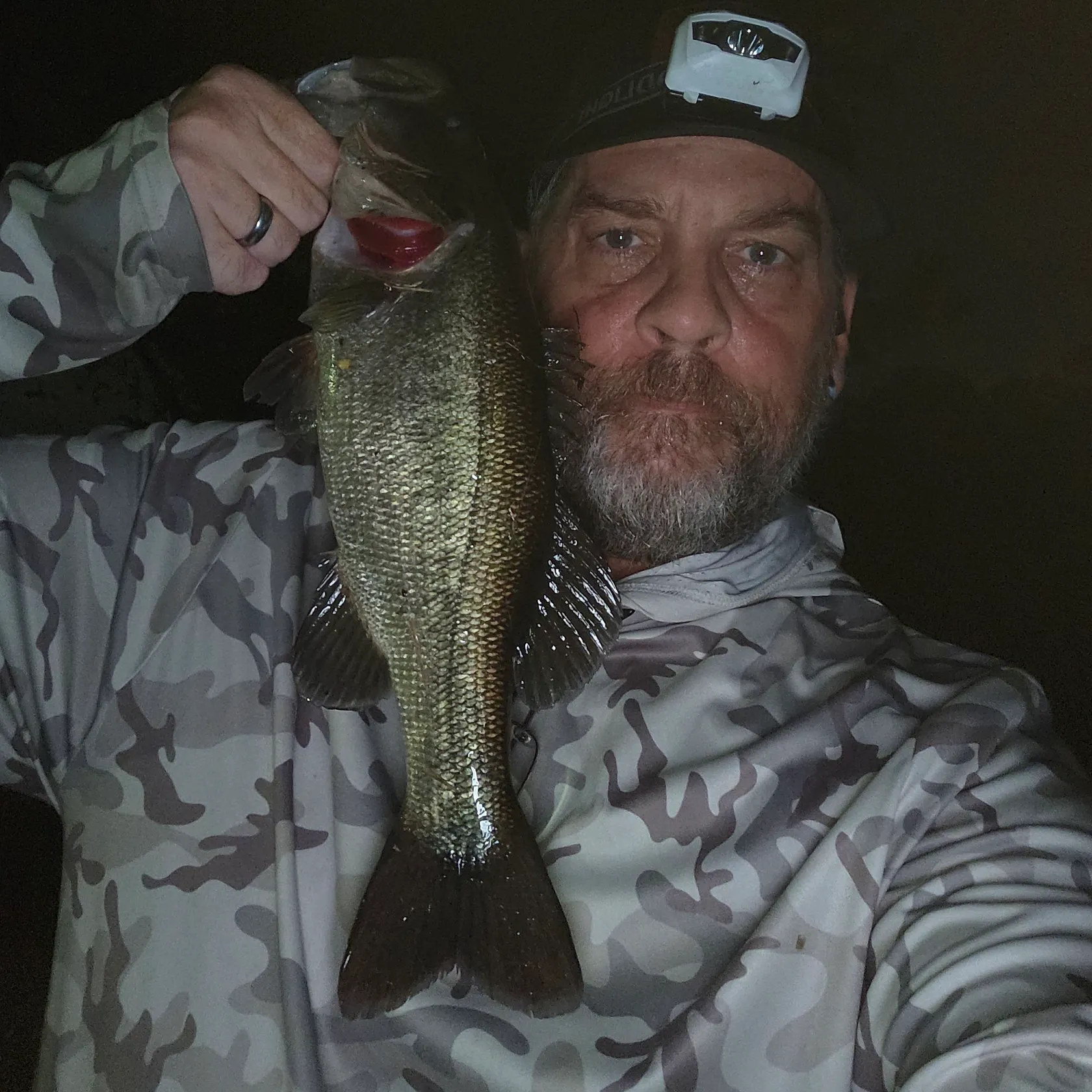 Largemouth bass caught on Fishbrain