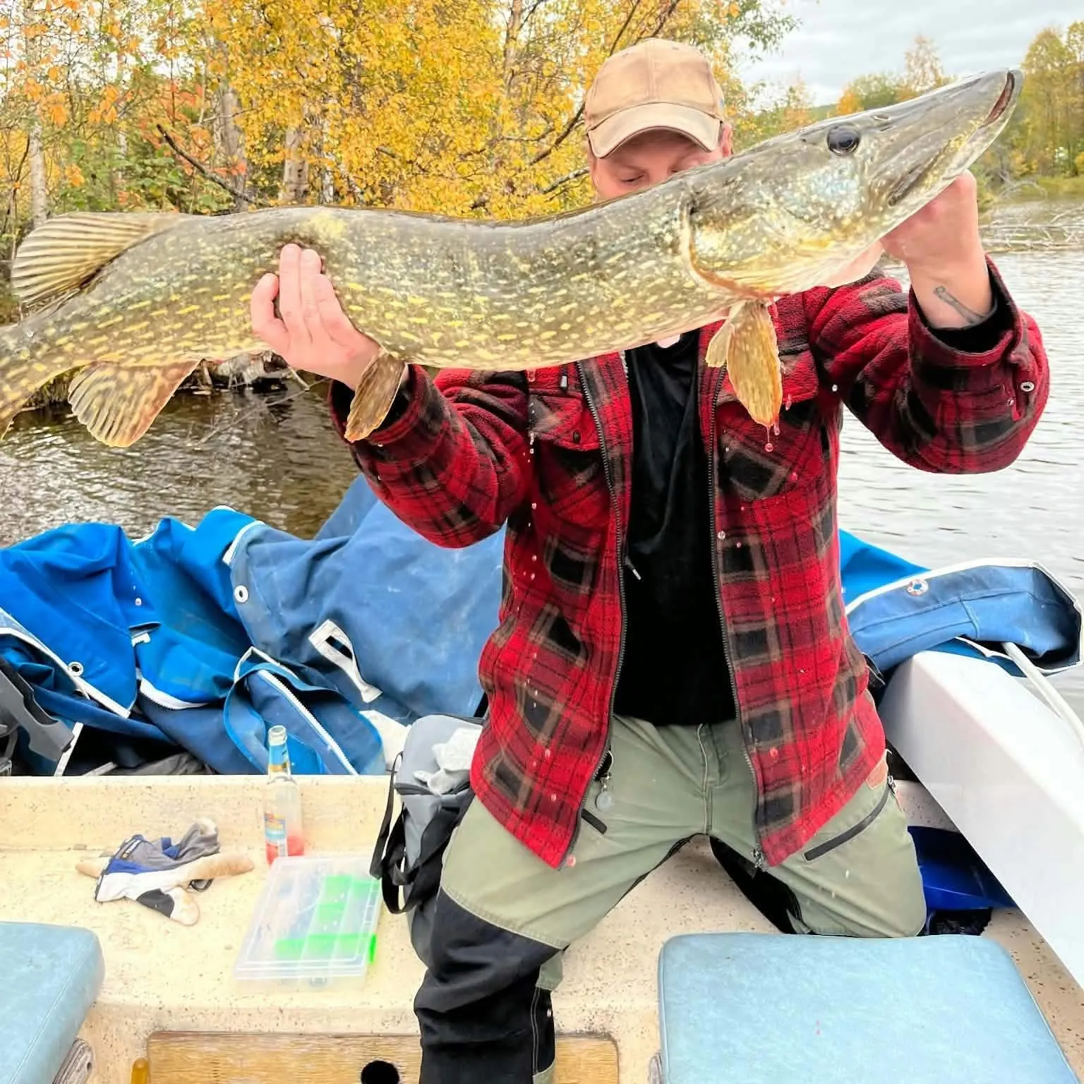 Northern pike caught on Fishbrain