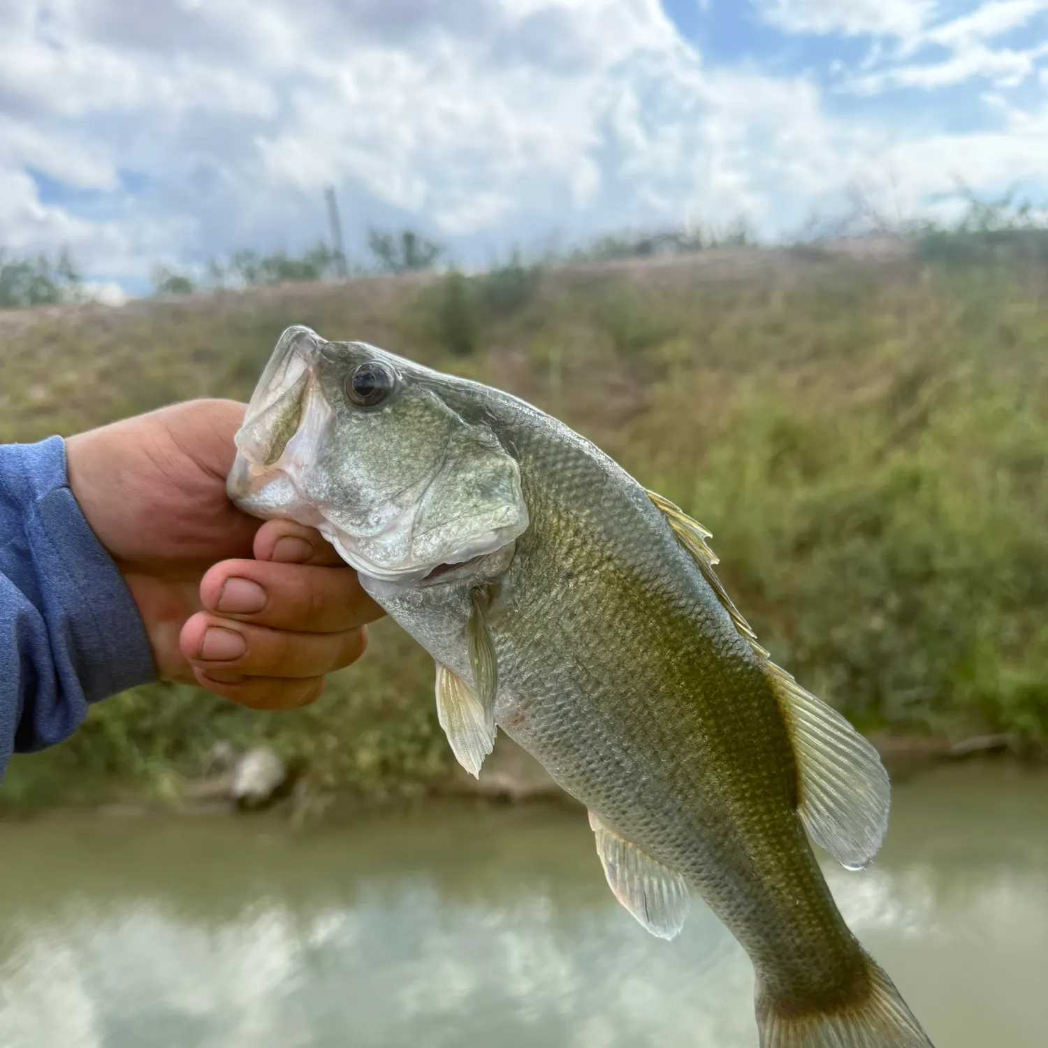 Fish caught on Fishbrain