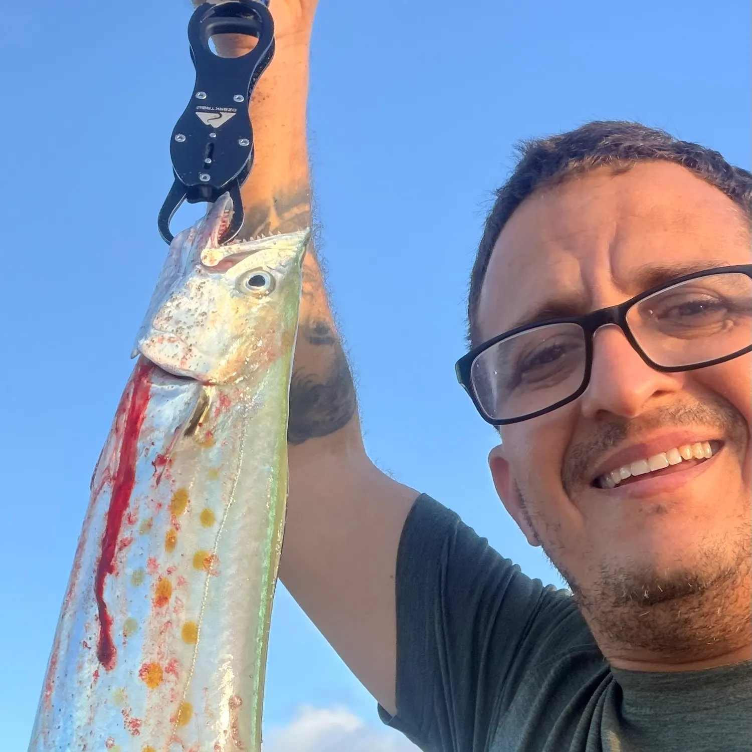 Spanish mackerel caught on Fishbrain
