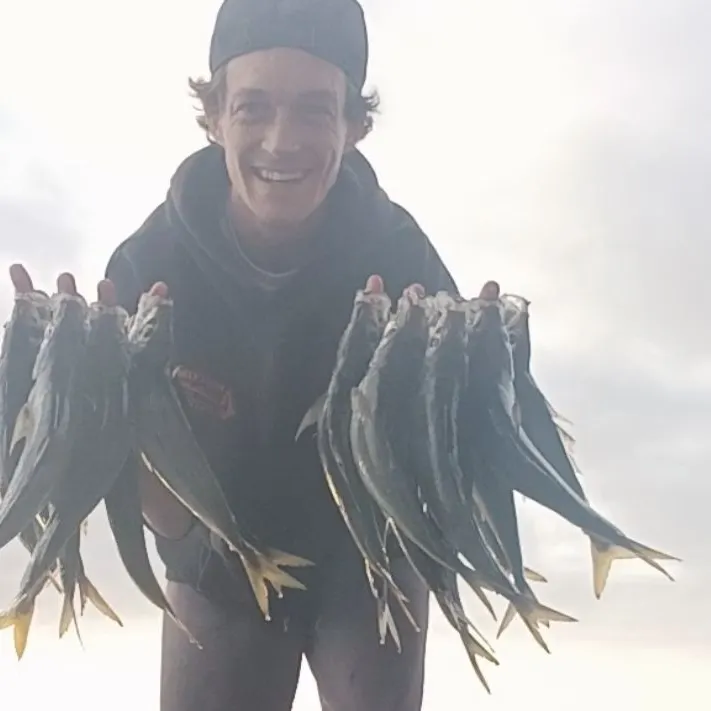 The most recent Double-lined mackerel catches on Fishbrain