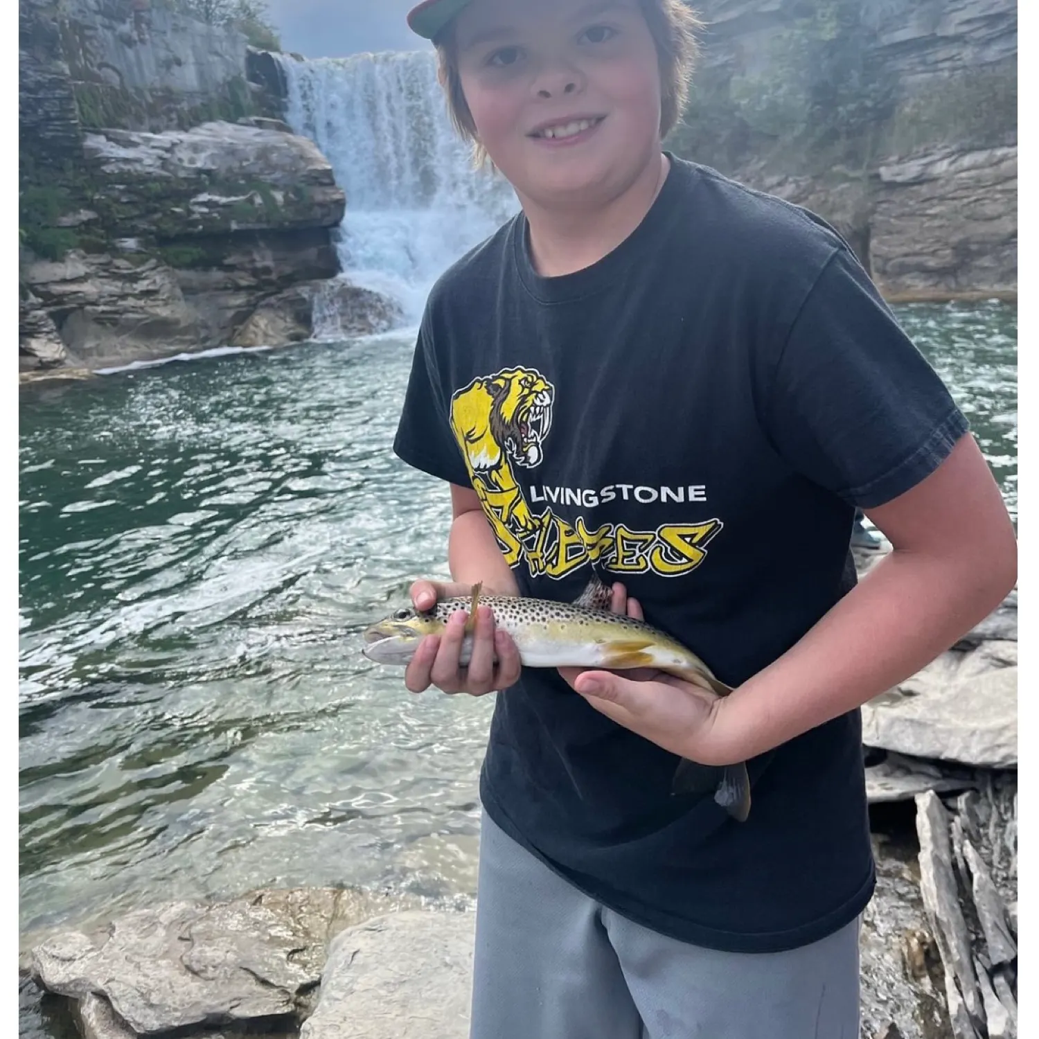The most recent Brown trout catches on Fishbrain