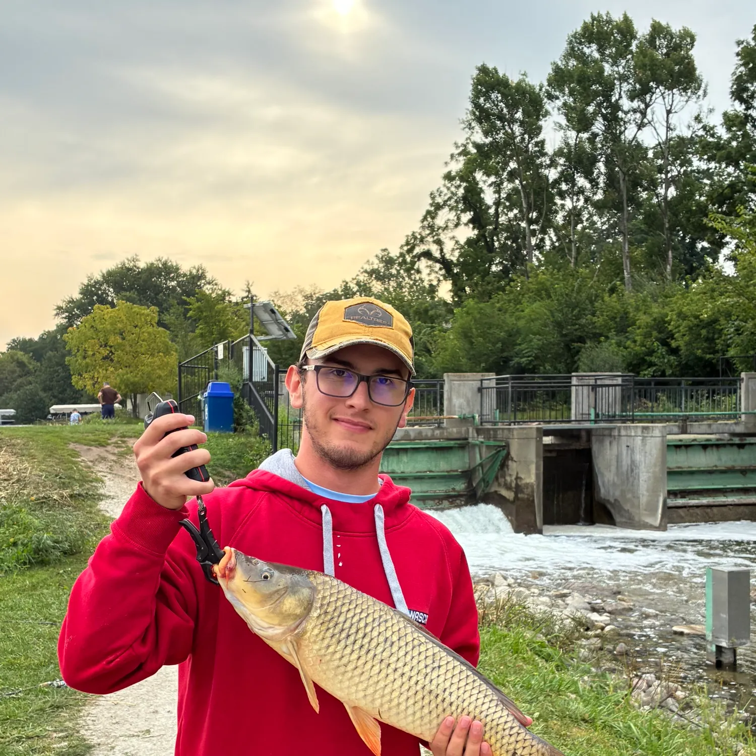 Common carp caught on Fishbrain