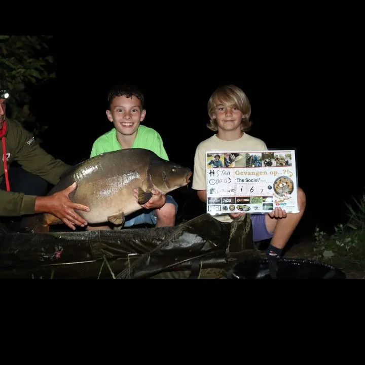 The most recent Leather carp catches on Fishbrain