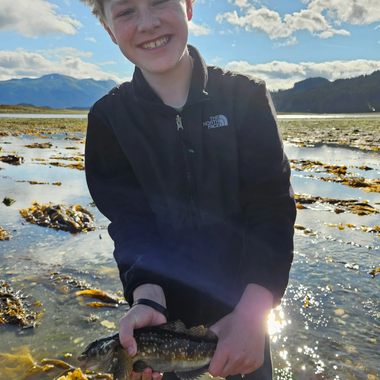 The most recent Rock cod catches on Fishbrain