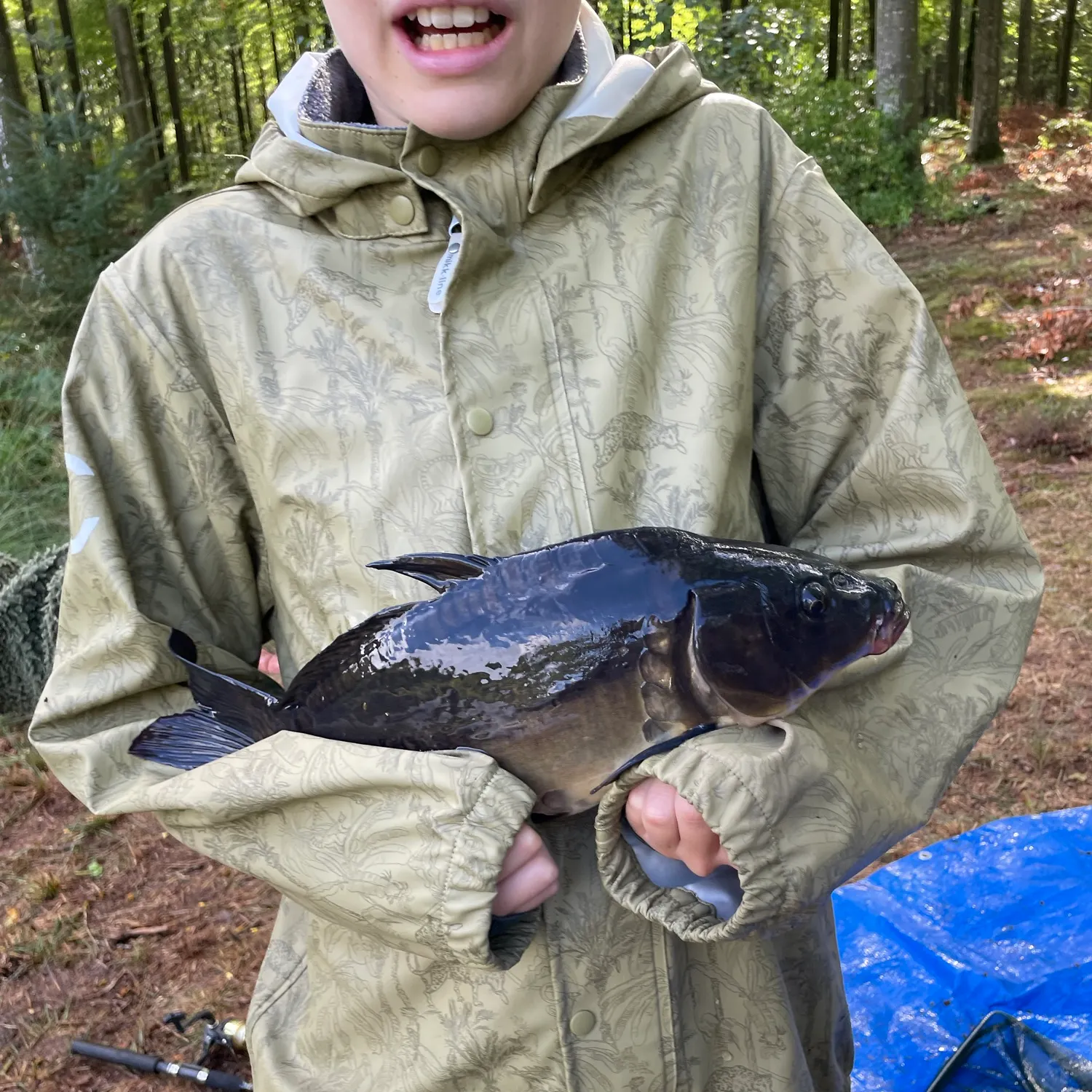 Mirror carp caught on Fishbrain