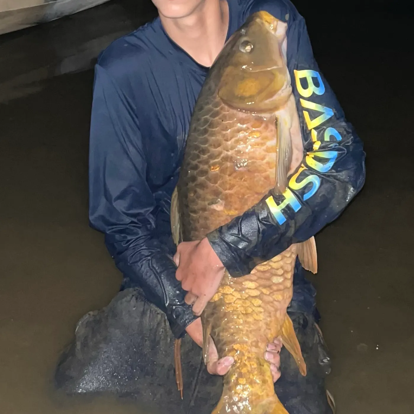 The most recent Koi x common carp catches on Fishbrain