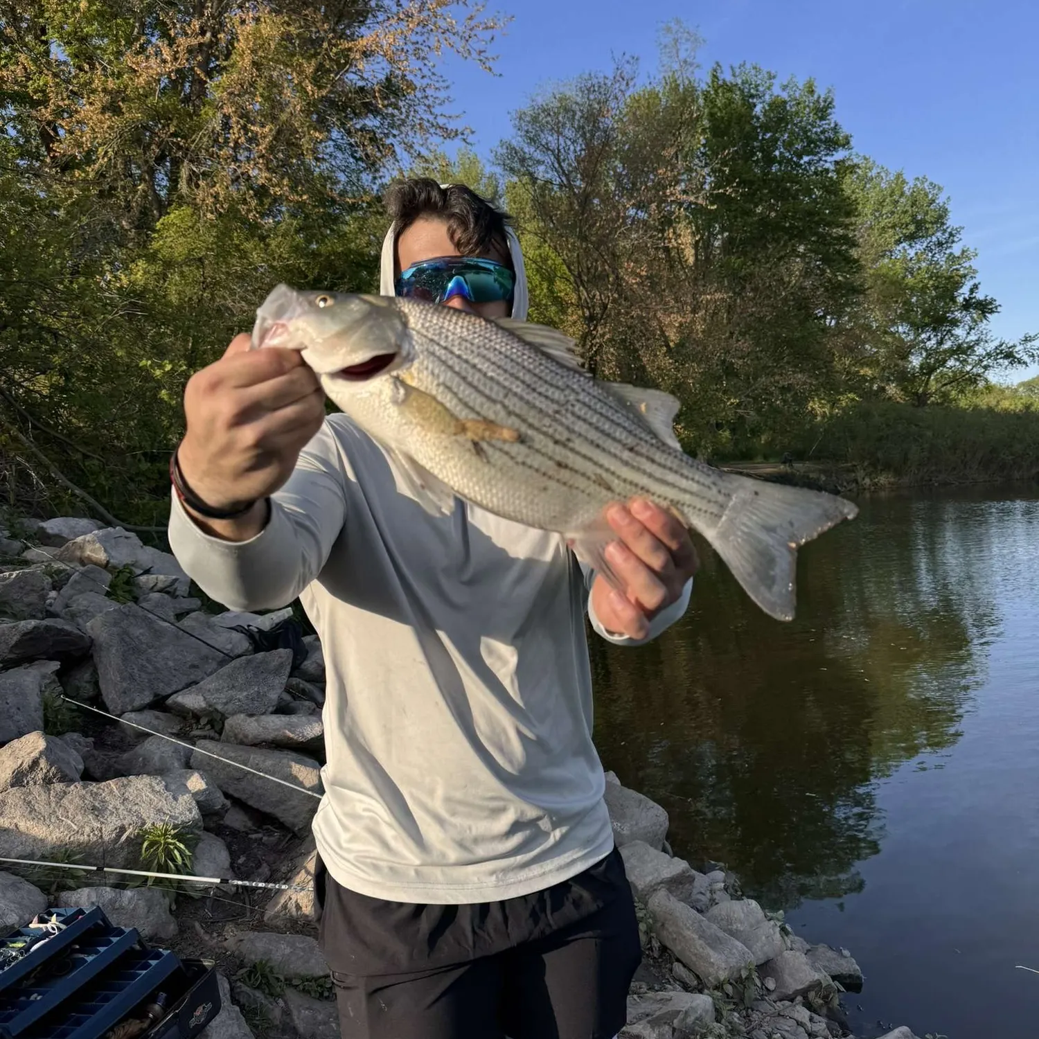 most liked catch image