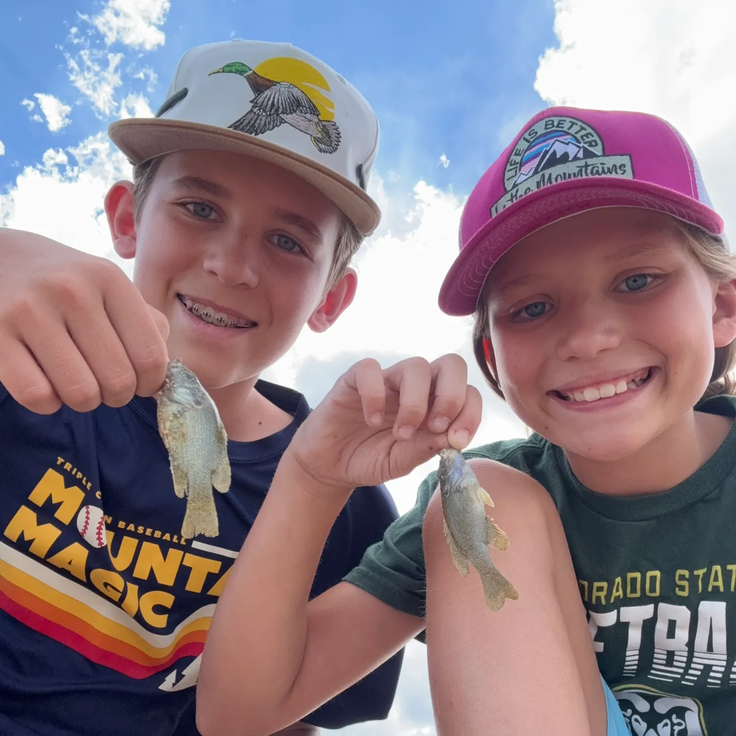 Bluegill caught on Fishbrain