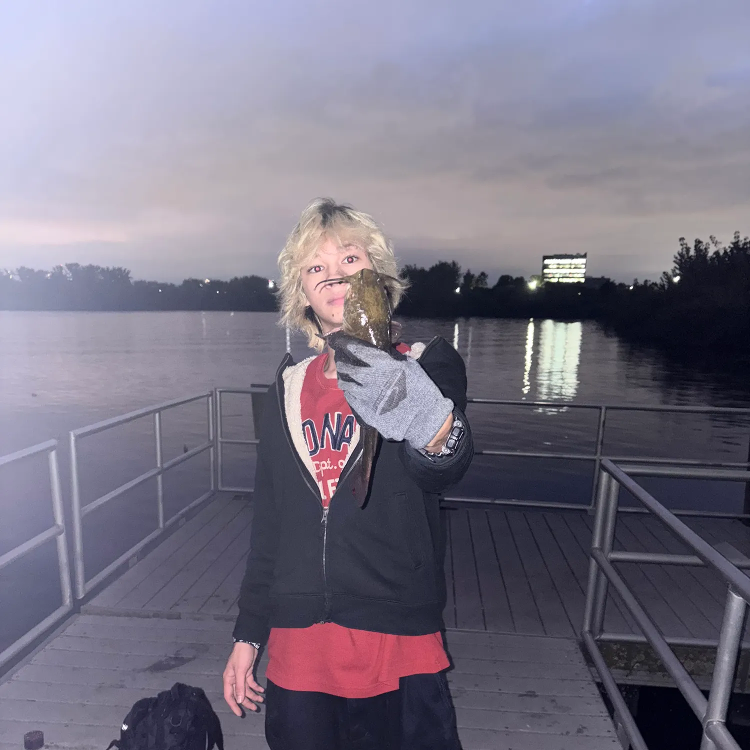 Black bullhead caught on Fishbrain