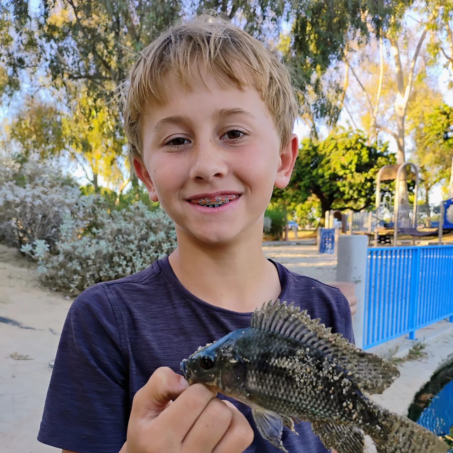 Blue tilapia caught on Fishbrain