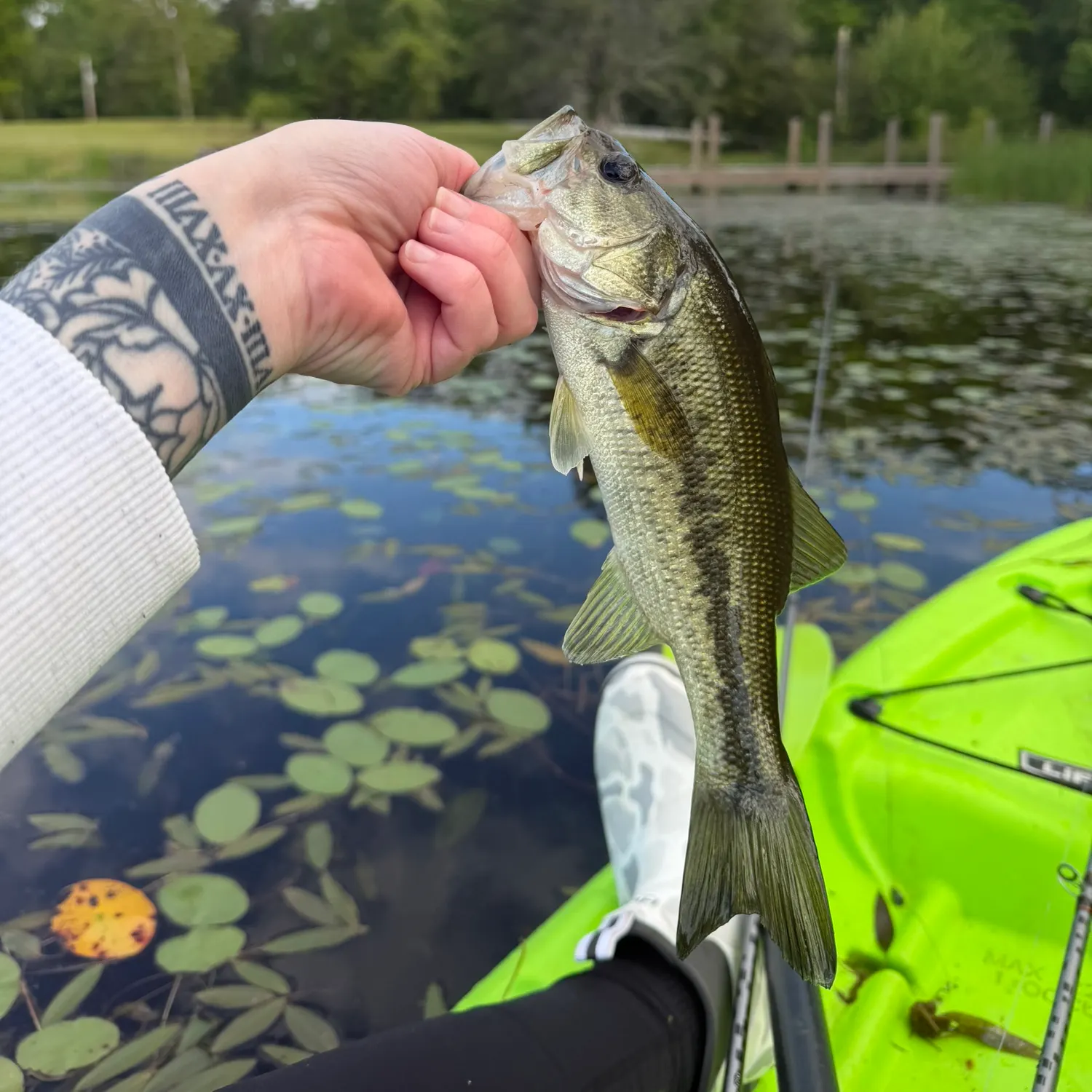 recently logged catches