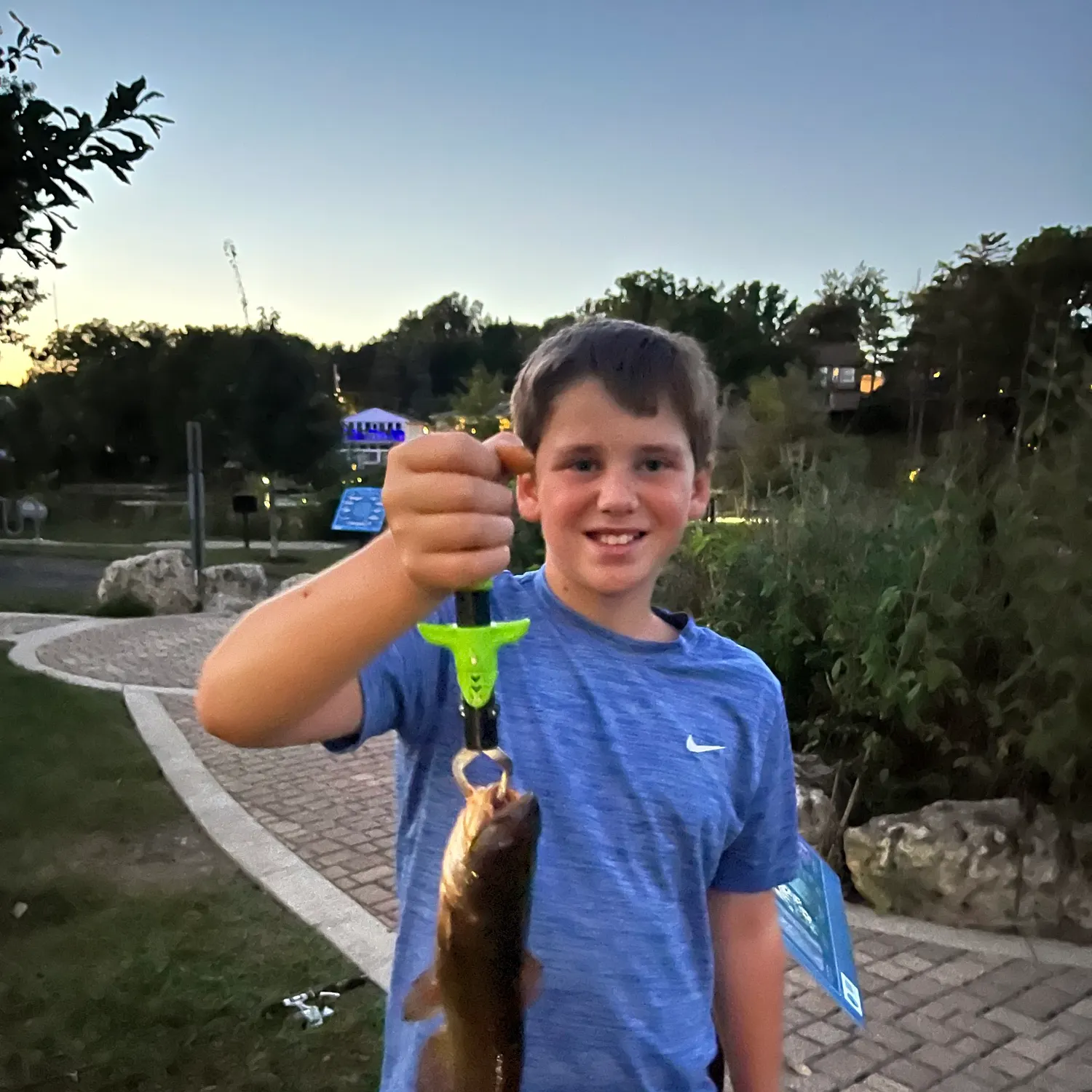Yellow bullhead caught on Fishbrain