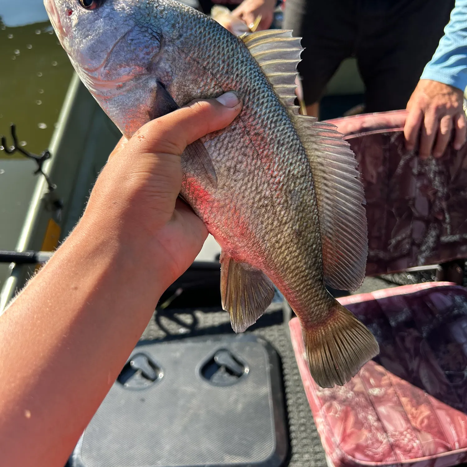 catch