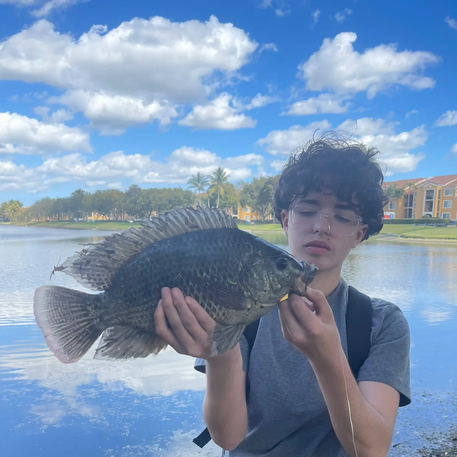 The most recent Nile tilapia catches on Fishbrain