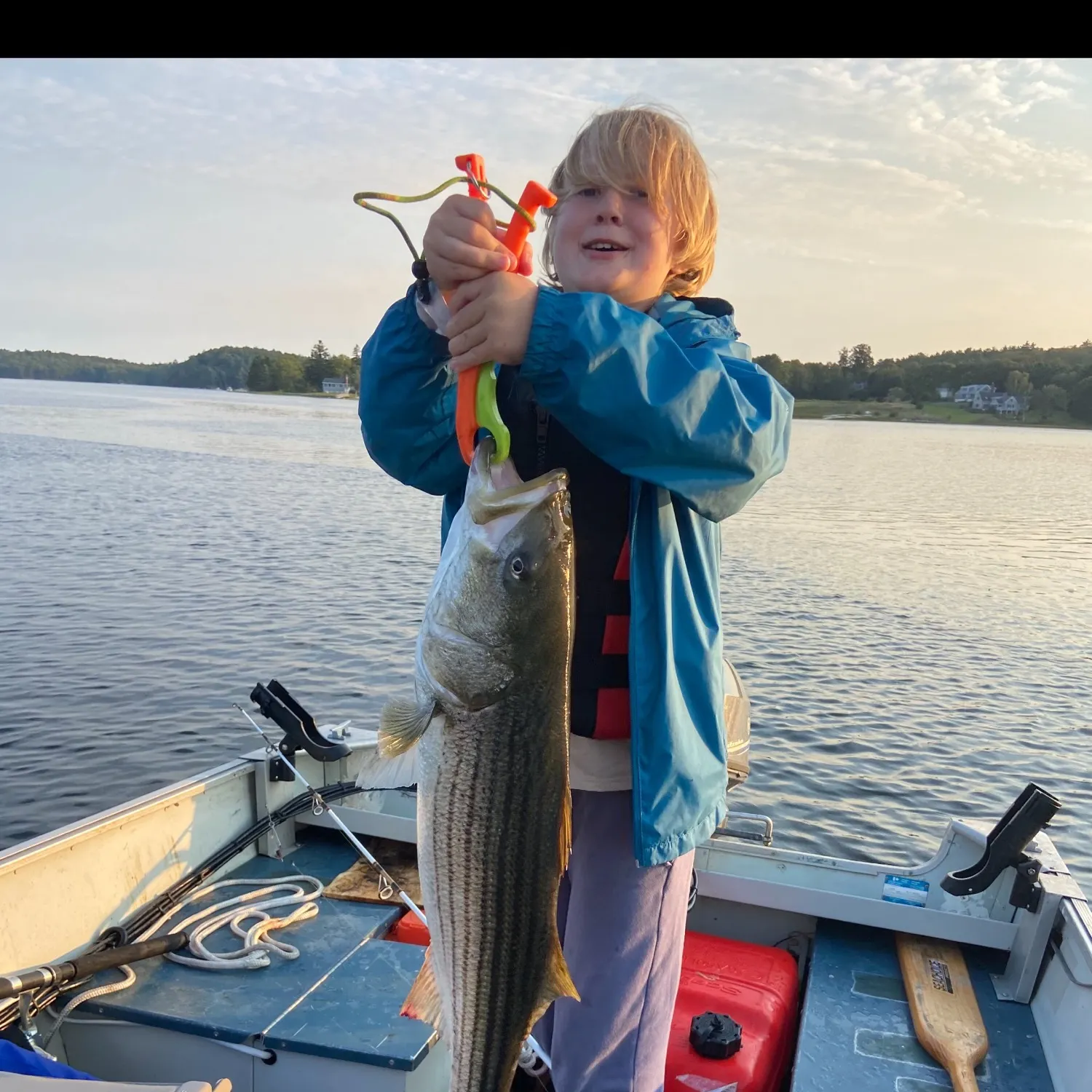 Striped bass caught on Fishbrain