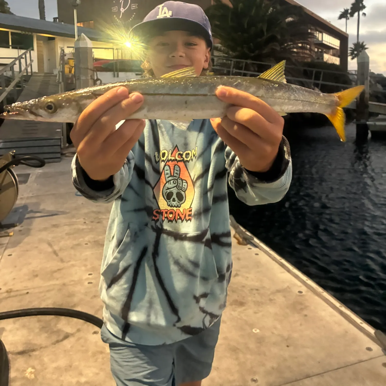 Pacific barracuda caught on Fishbrain