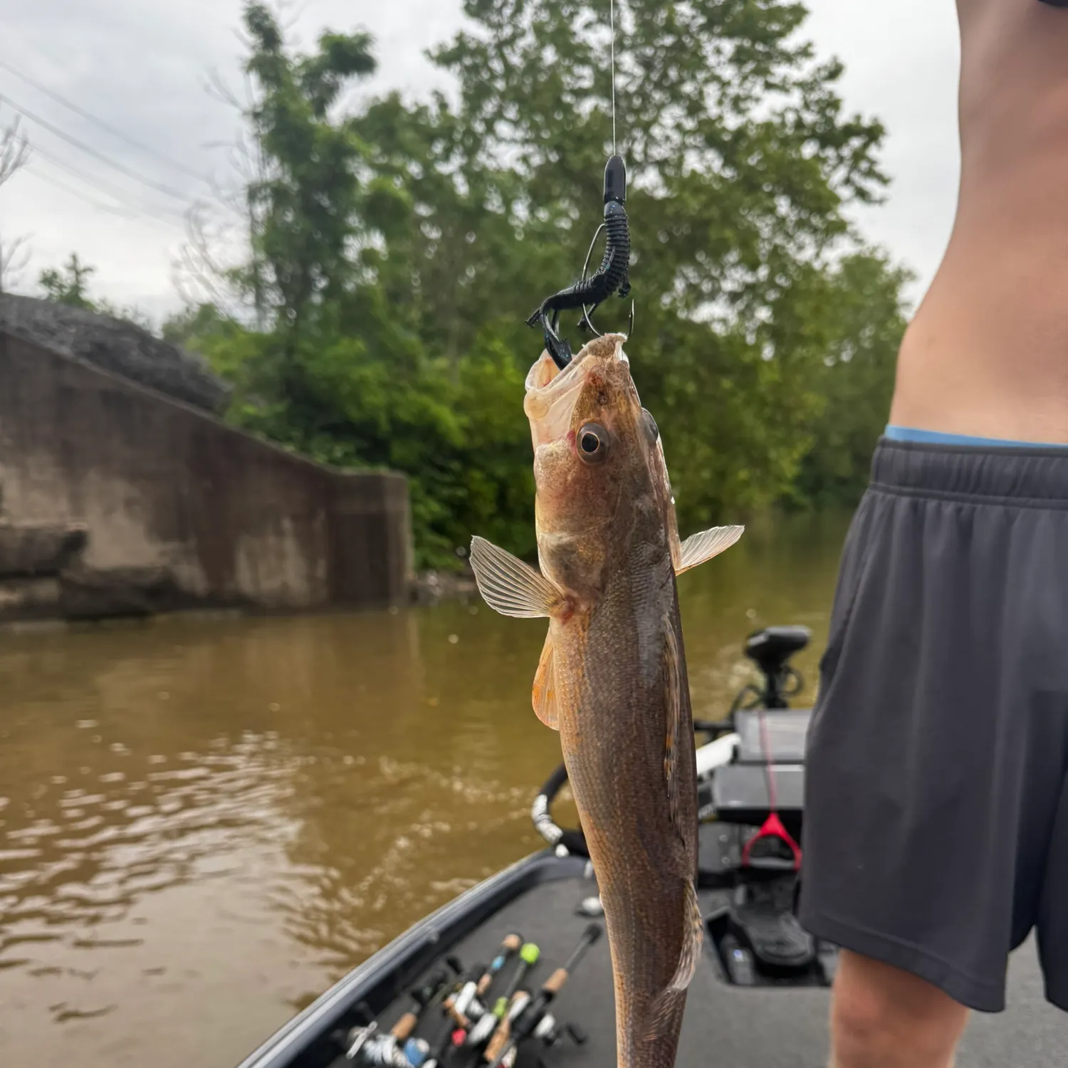 most liked catch image
