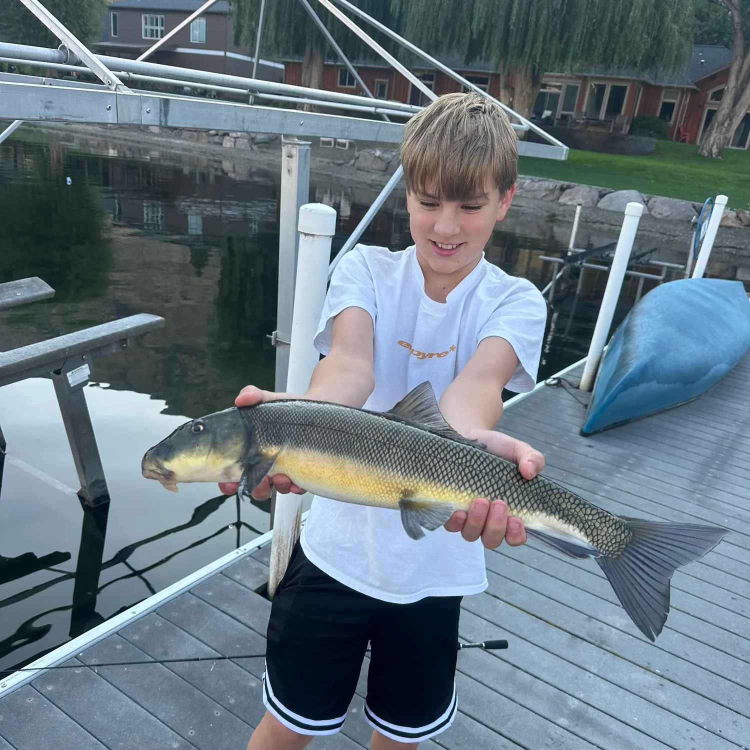 The most recent Largescale sucker catches on Fishbrain