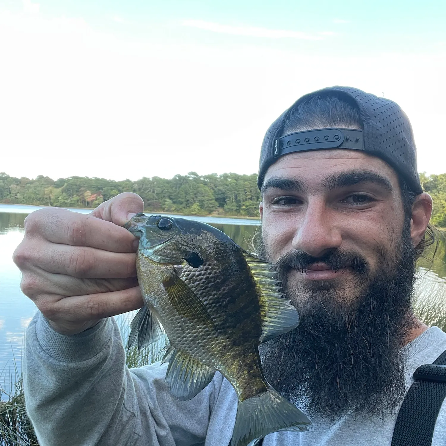Bluegill caught on Fishbrain