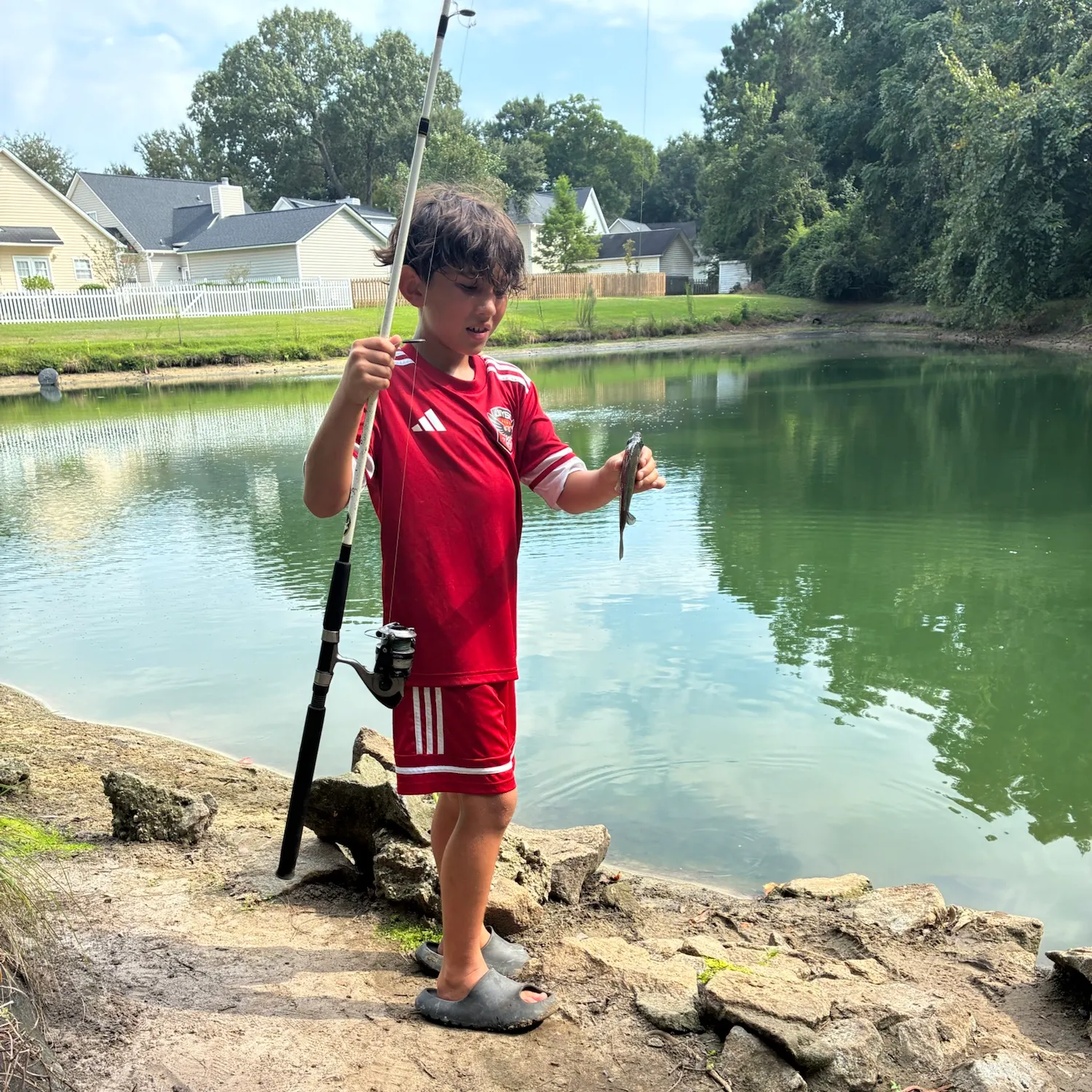 Bluegill caught on Fishbrain