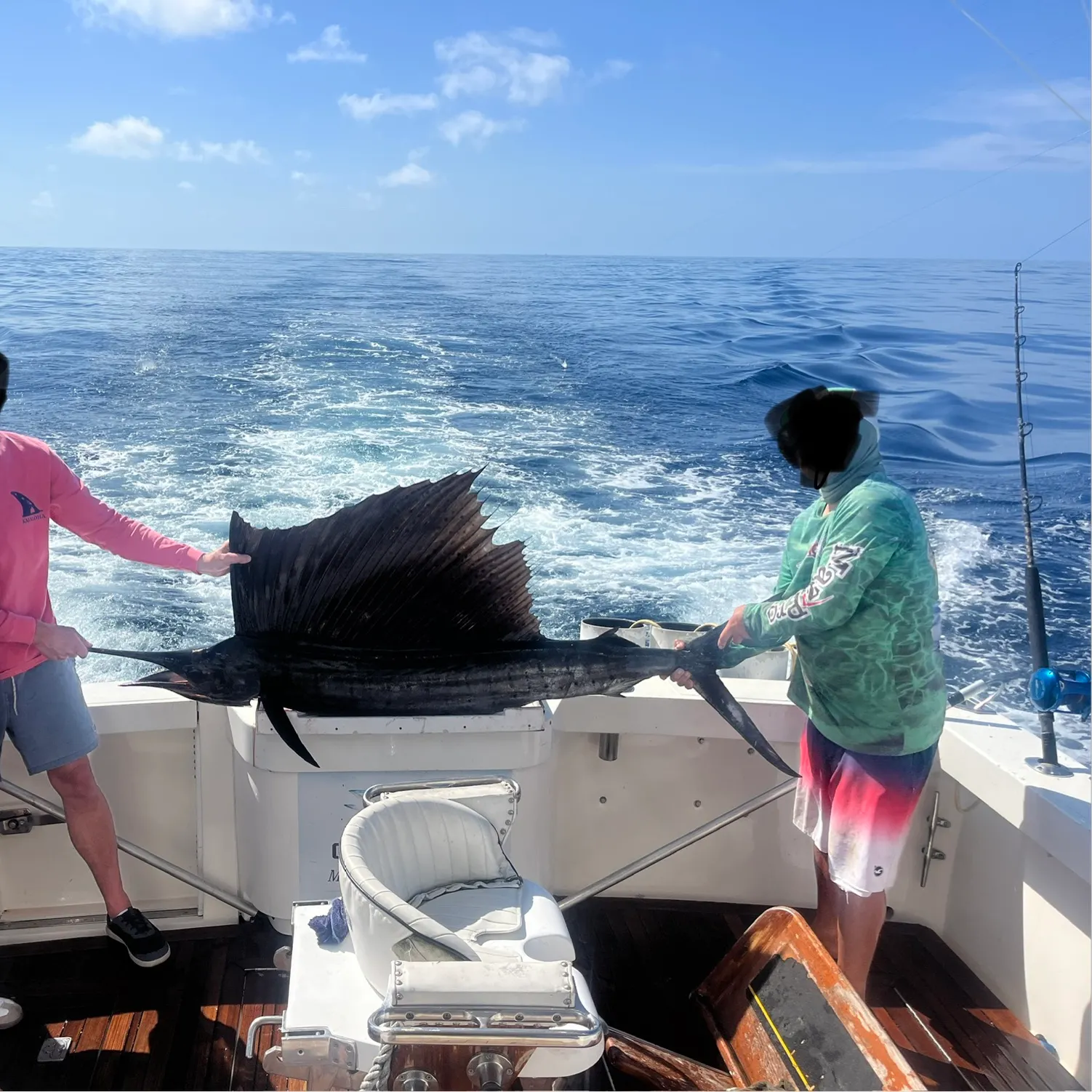 The most recent Indo-Pacific sailfish catches on Fishbrain