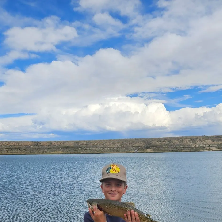 Rainbow trout caught on Fishbrain