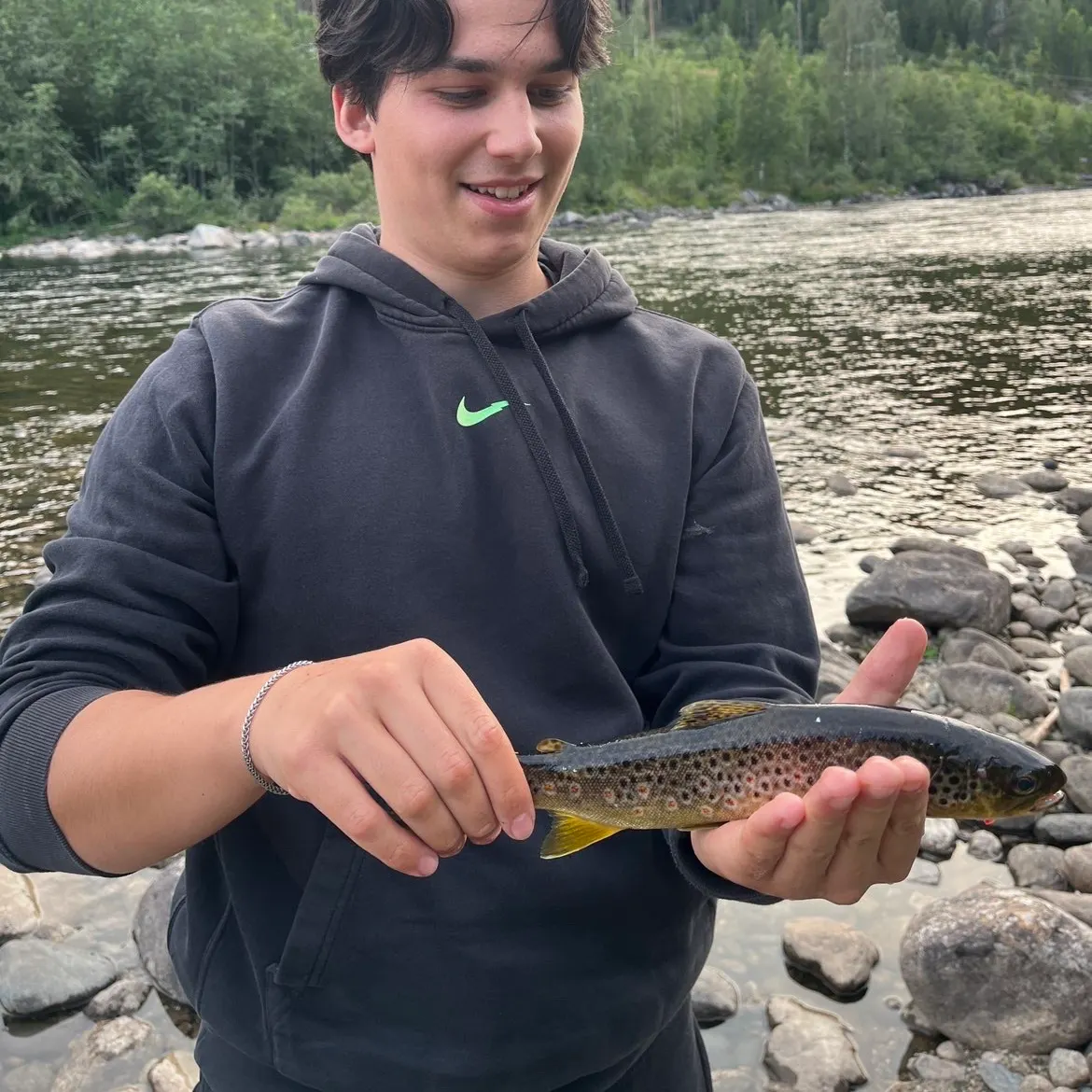 Brown trout caught on Fishbrain