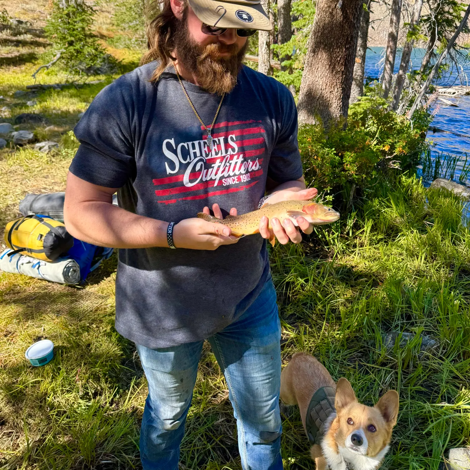 Yellowstone cutthroat trout caught on Fishbrain