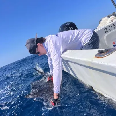 The most recent Indo-Pacific sailfish catches on Fishbrain