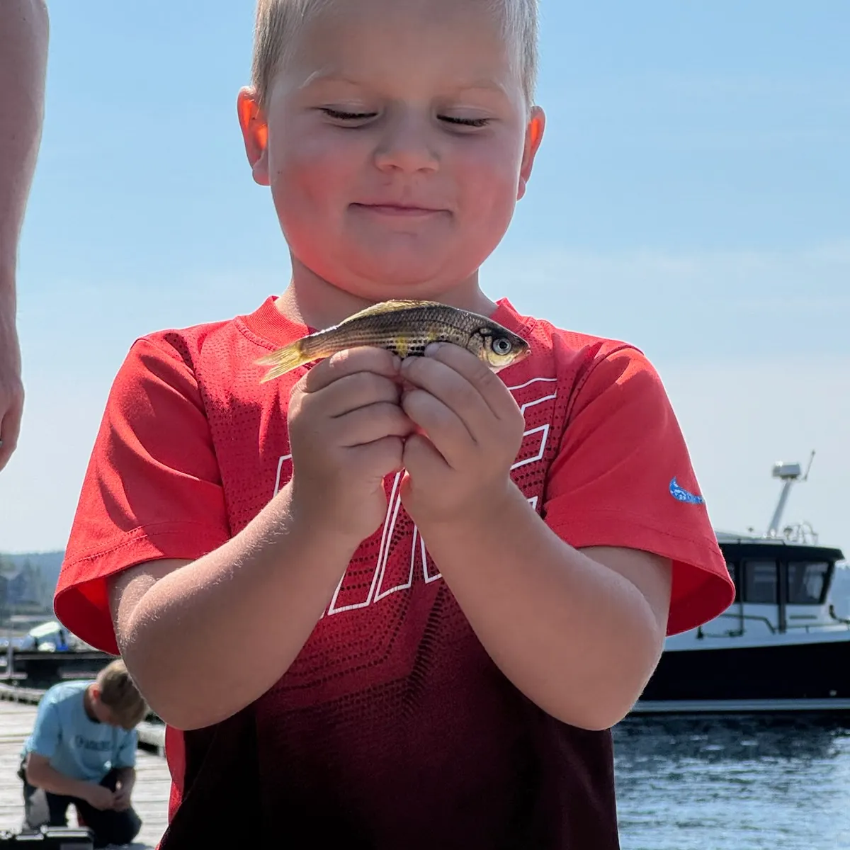 The most recent Lake whitefish catches on Fishbrain