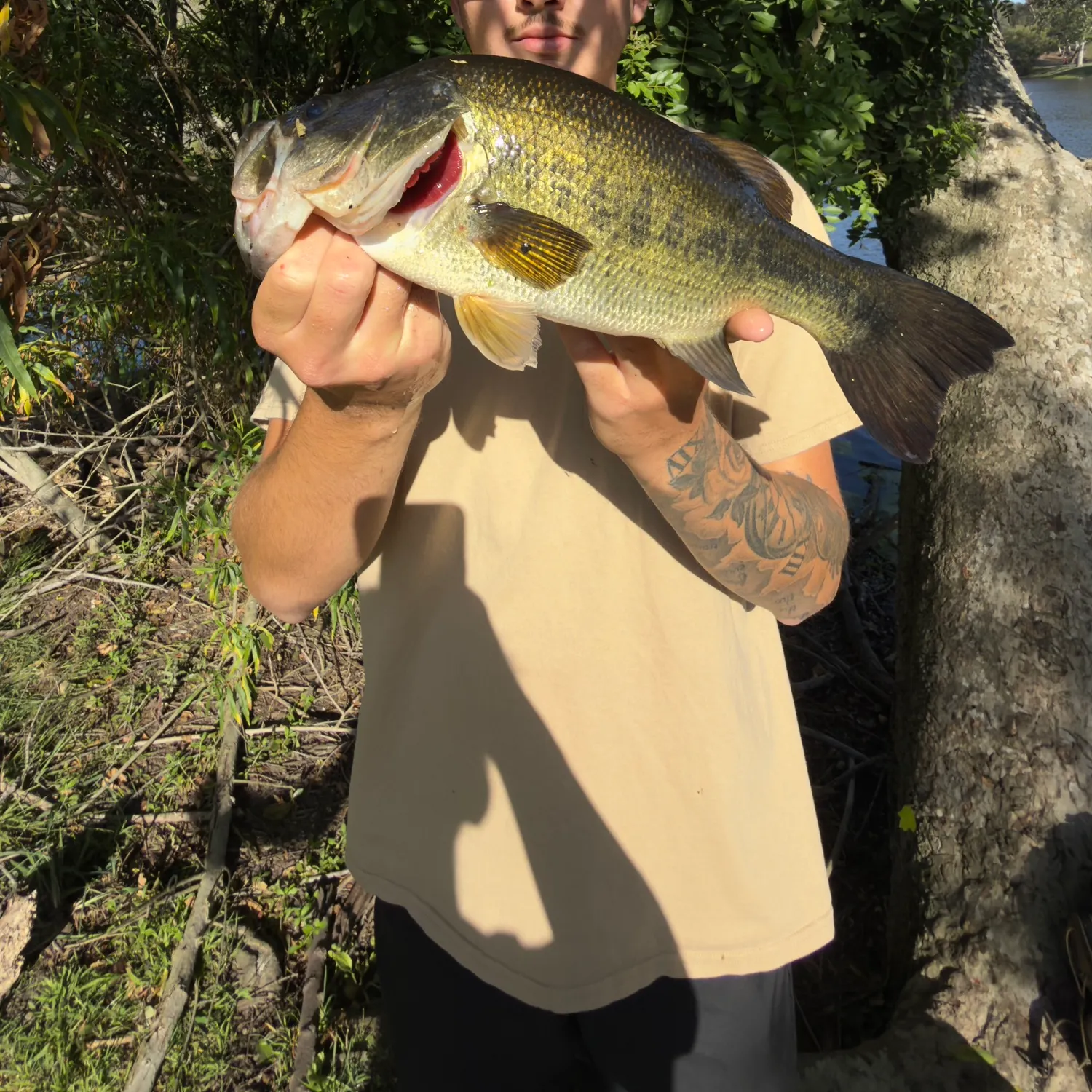 catch
