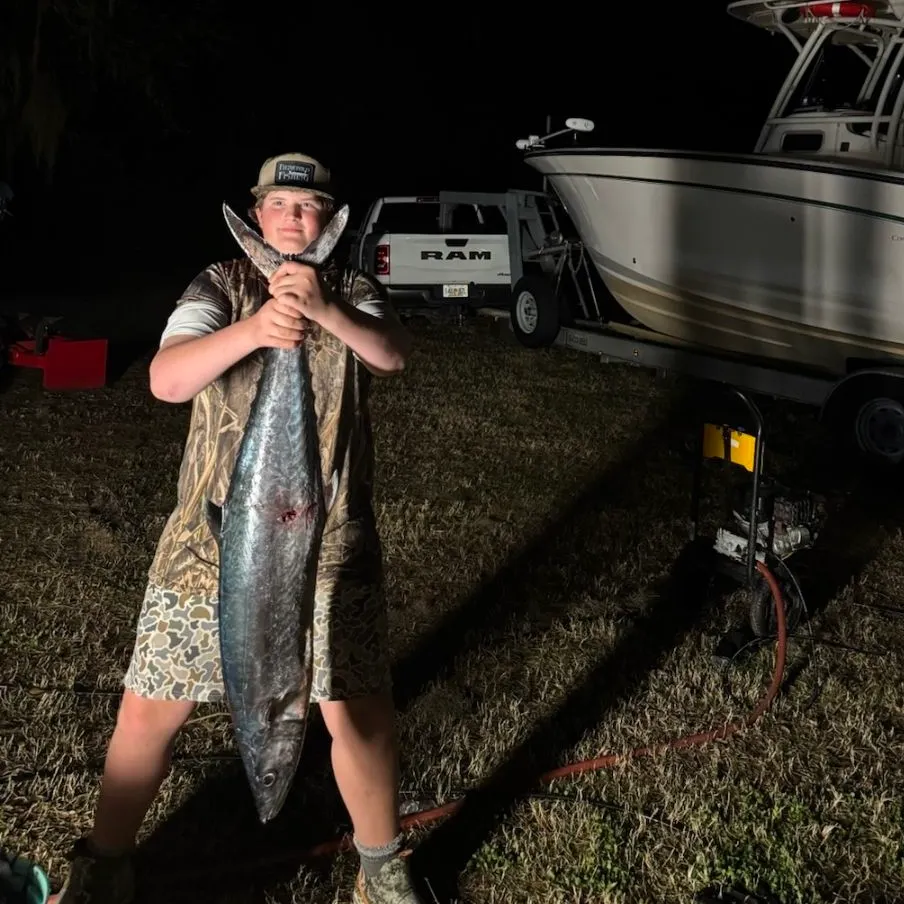 The most recent King mackerel catches on Fishbrain