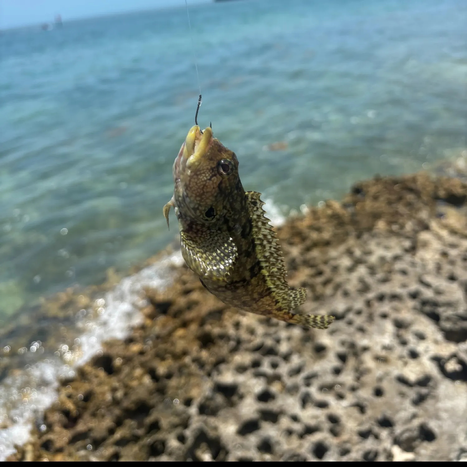 most liked catch image