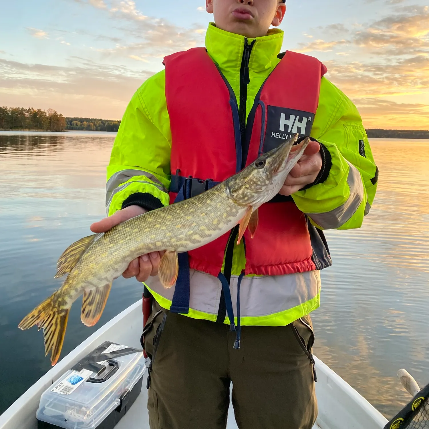 Northern pike caught on Fishbrain