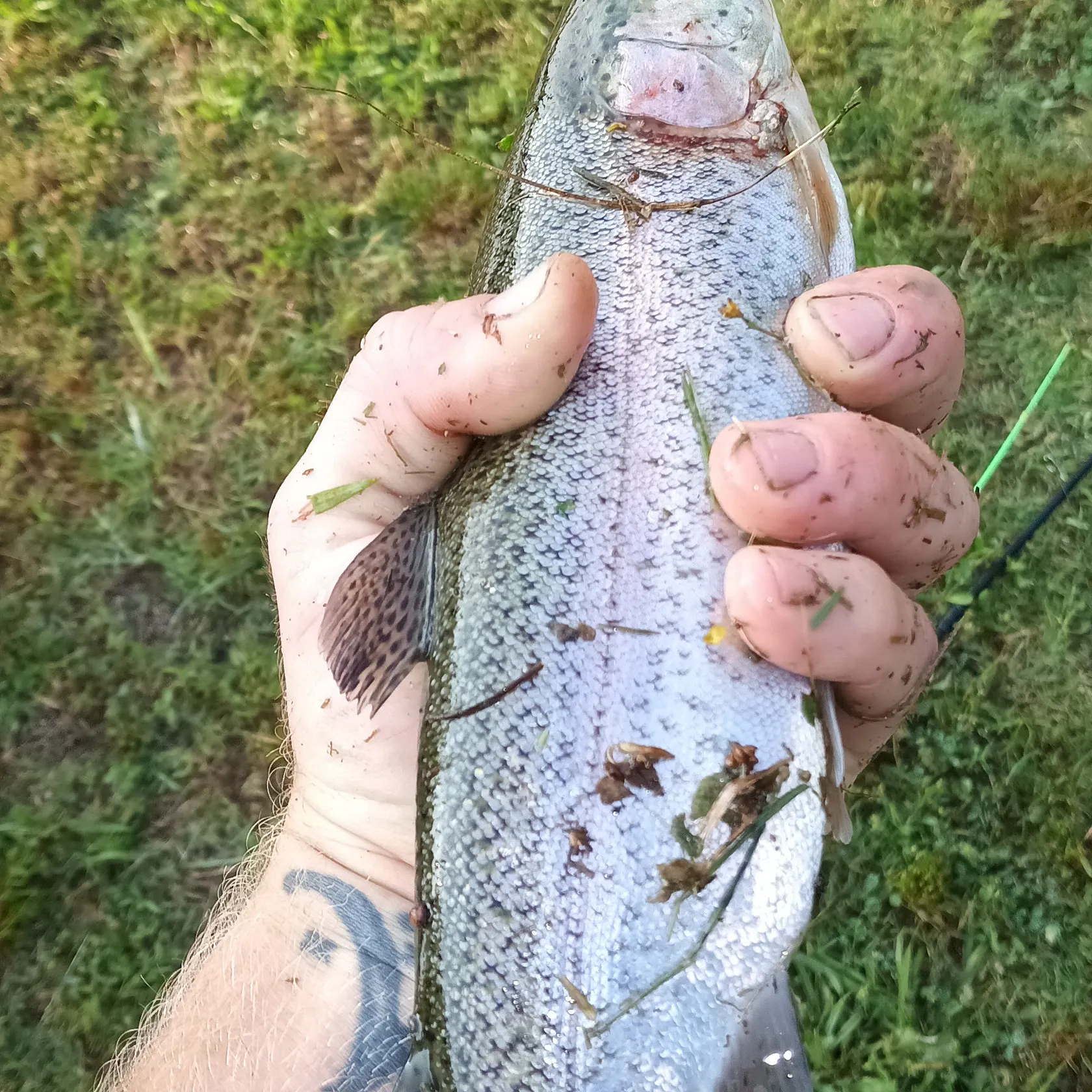 angler catch