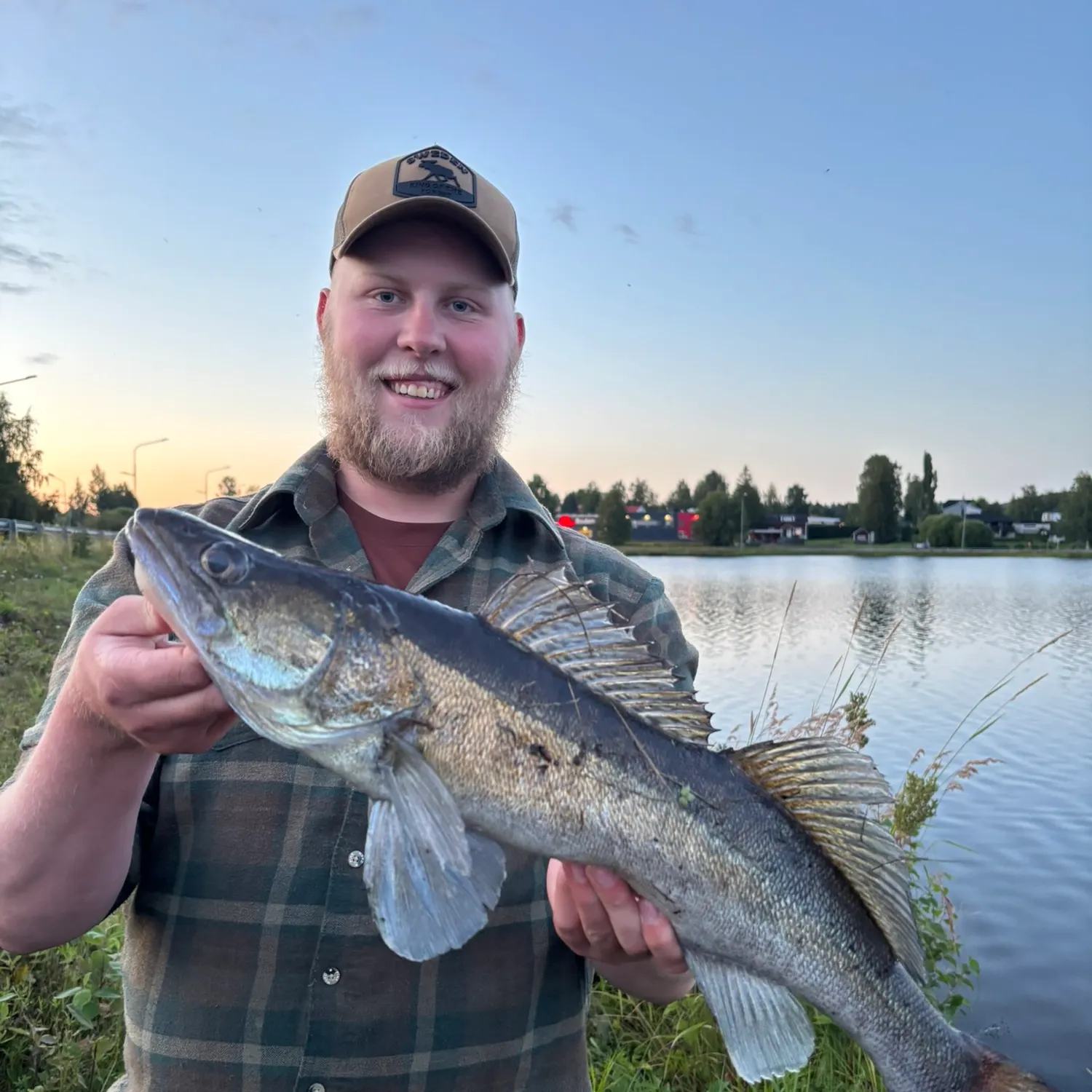 Zander caught on Fishbrain