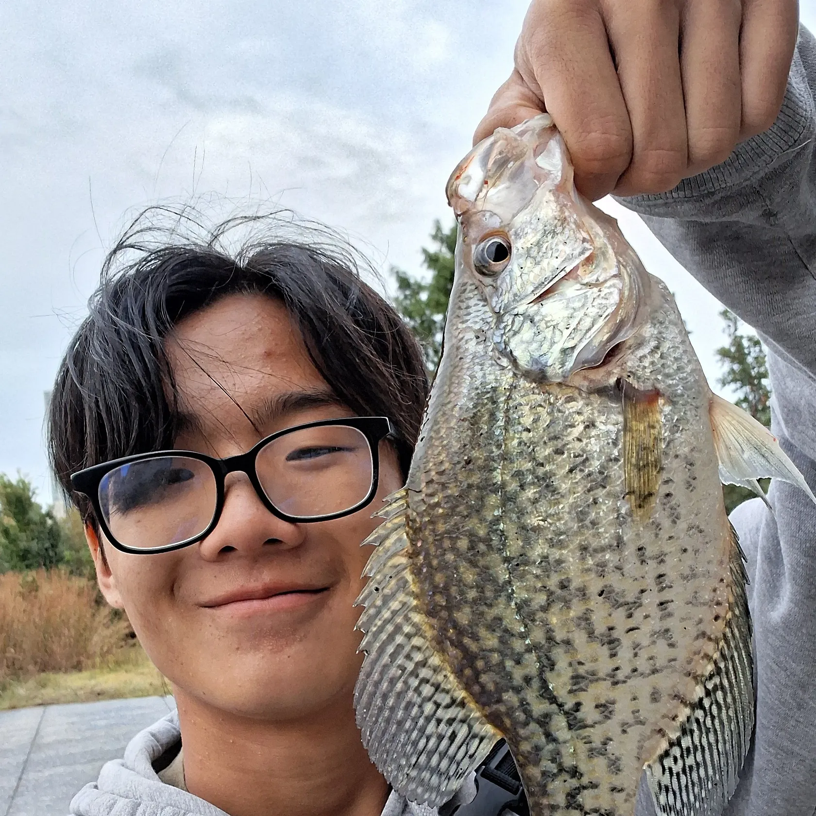 Black crappie caught on Fishbrain