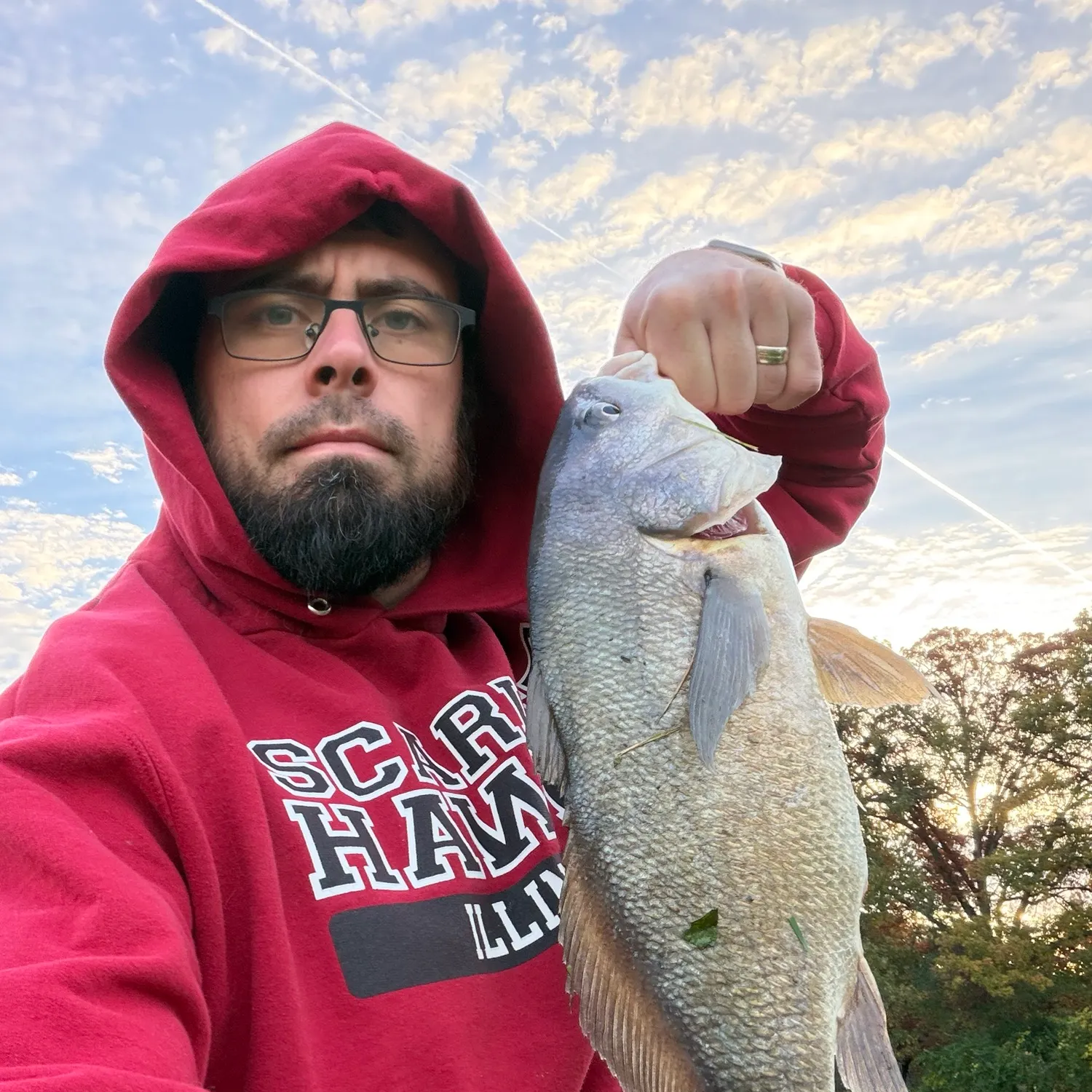 The most recent Freshwater drum catches on Fishbrain