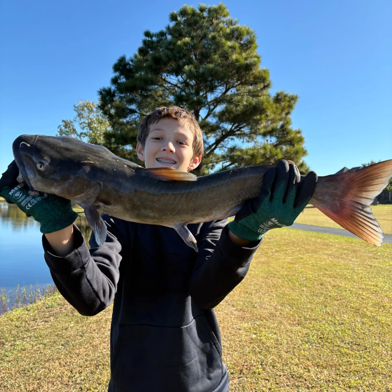Channel catfish caught on Fishbrain
