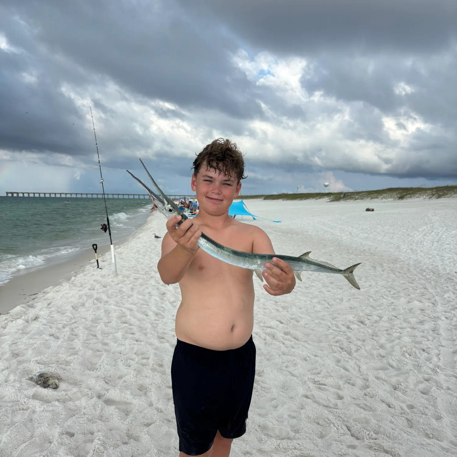 Flat needlefish caught on Fishbrain