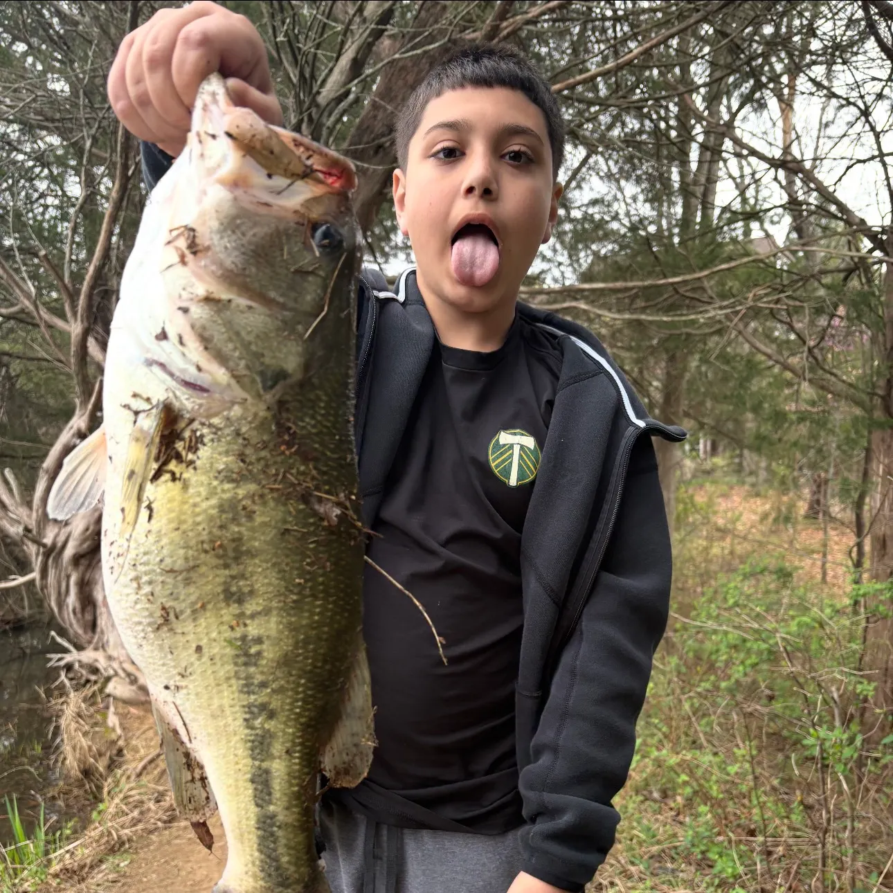 The most recent Largemouth bass catches on Fishbrain